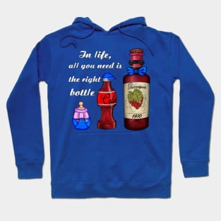 Bottle of life Hoodie